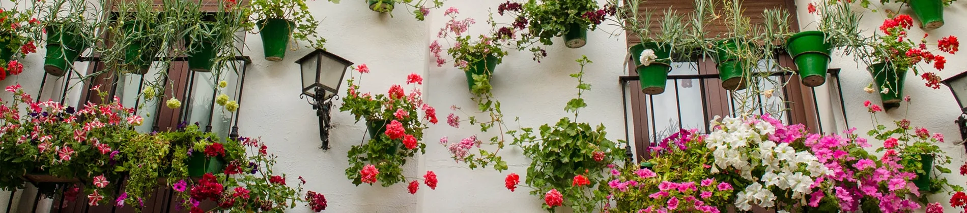 Balcones andaluces en flor, viaja por Andalucía con Socibus